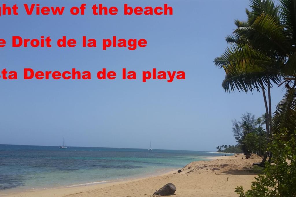 Dream Glamping Jungle Bohio Hotell Las Terrenas Eksteriør bilde
