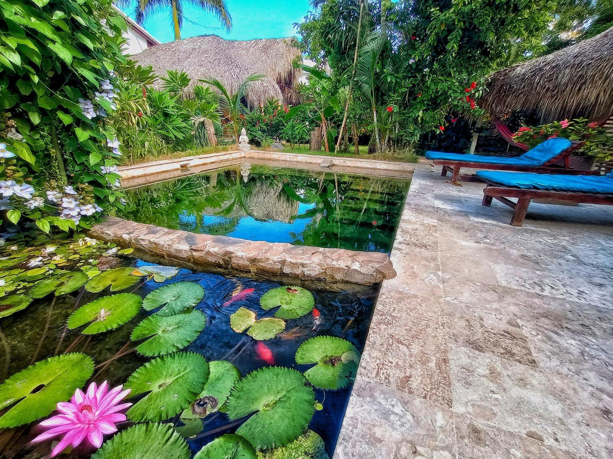 Dream Glamping Jungle Bohio Hotell Las Terrenas Eksteriør bilde